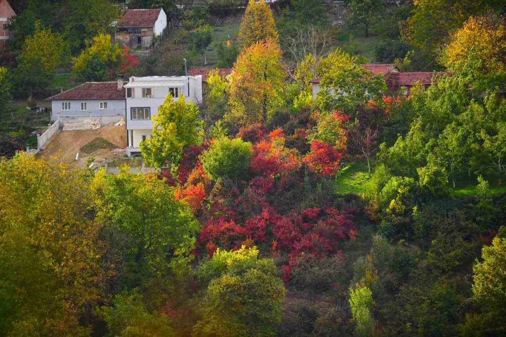 Sonbaharın Renk Cümbüşü Uludağ'da