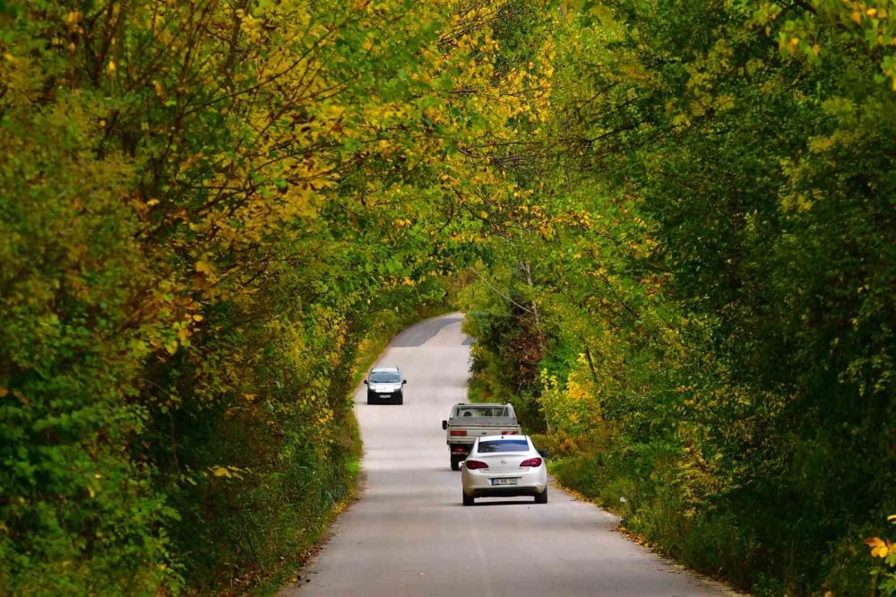 Sonbaharın Renk Cümbüşü Uludağ'da