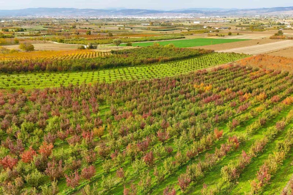 Sonbaharın Renk Cümbüşü Uludağ'da
