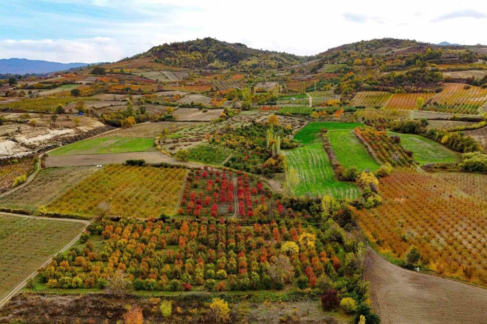 Sonbaharın Renk Cümbüşü Uludağ'da