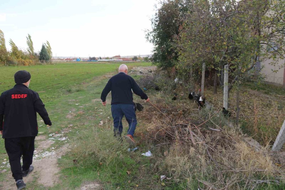 11 Tavuğu Köpeklerce Telef Edilen Mahalleli Hayvanlarını Korumak İçin Çobanlık Yapıyor