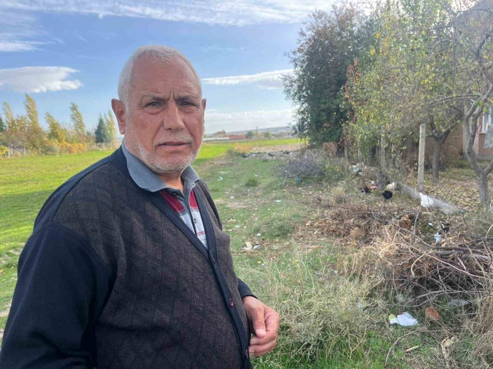 11 Tavuğu Köpeklerce Telef Edilen Mahalleli Hayvanlarını Korumak İçin Çobanlık Yapıyor