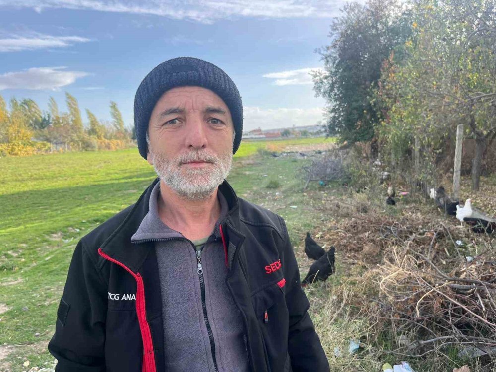 11 Tavuğu Köpeklerce Telef Edilen Mahalleli Hayvanlarını Korumak İçin Çobanlık Yapıyor