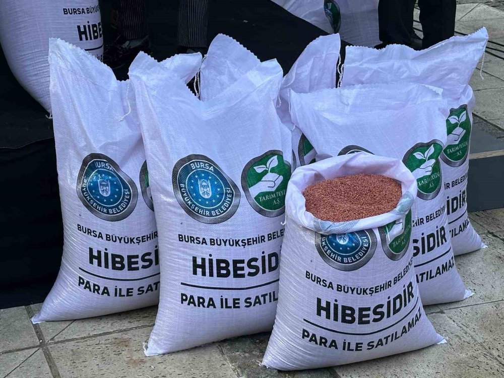 Çiftçilere 47 Ton Buğday Tohumu Desteği