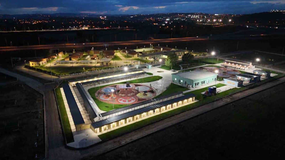 Sokaktan Sıcacık Yuvaya: ‘Pati İzi’nde 500 Can Dost Yeni Hayatına Kavuştu