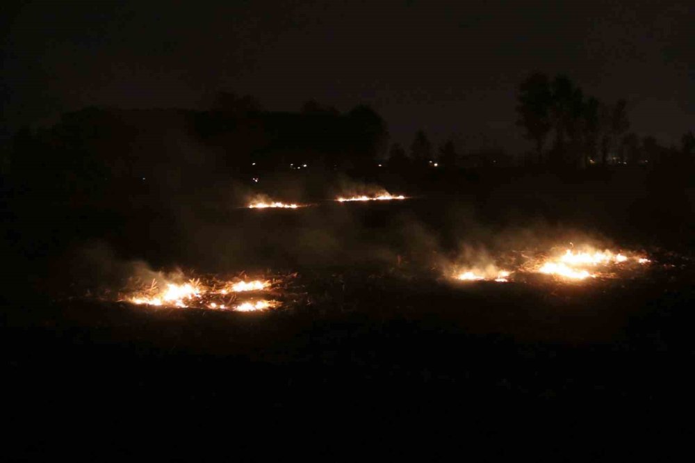 Yasak Ve Cezaya Rağmen Anız Yakıyorlar