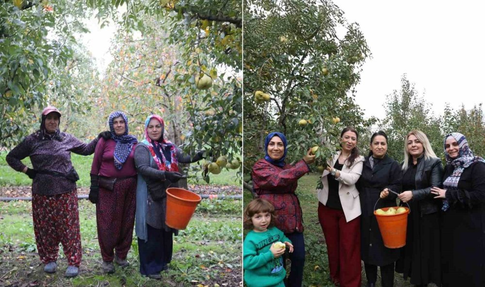 Topuklu İş Kadınları İle Şalvarlı Köylü Kadınları Aynı Tarlada
