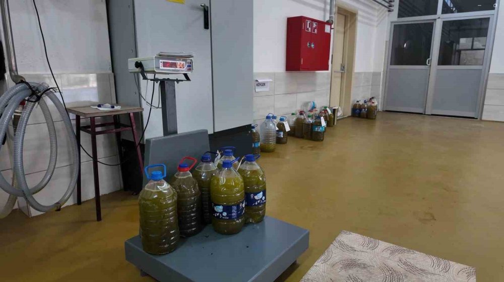 Eskişehir’de Zeytinyağının Soğuk Sıkım Yolculuğu