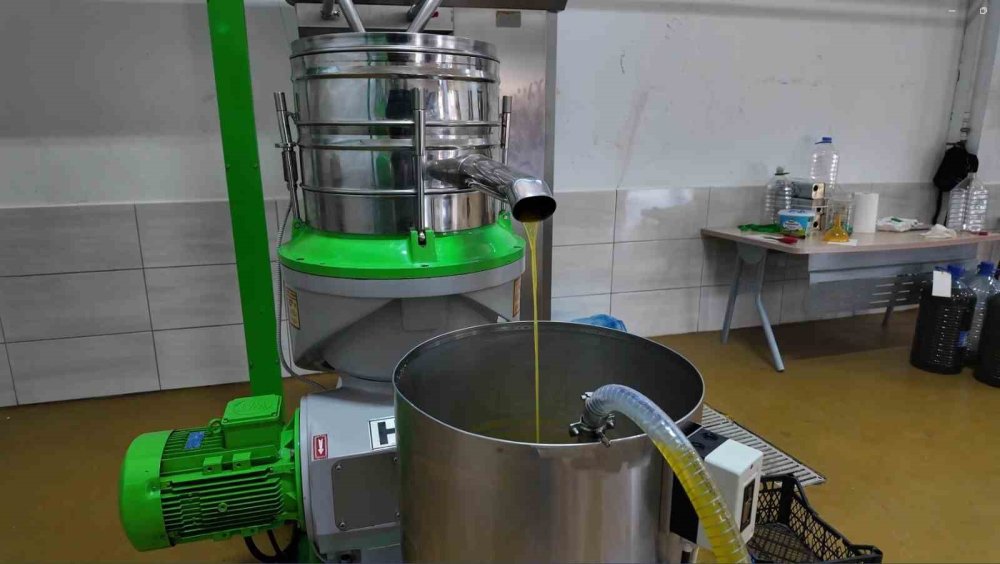 Eskişehir’de Zeytinyağının Soğuk Sıkım Yolculuğu