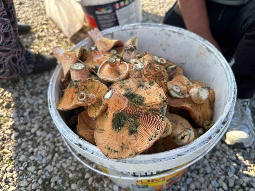 Okul Harçlığını "kanlıca"dan Çıkarıyor