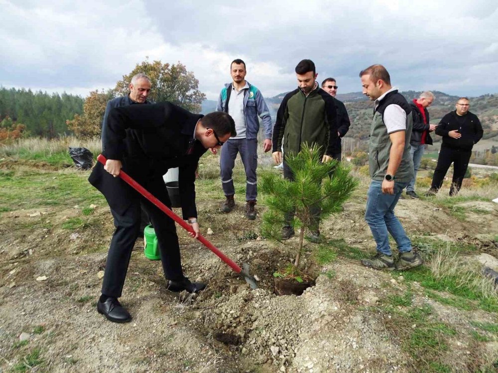 150 Fidan Toprakla Buluştu