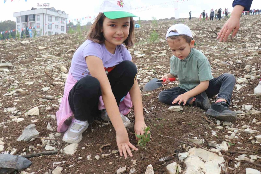 Fidanlar Yanan Ormanlık Alanda Toprakla Buluştu