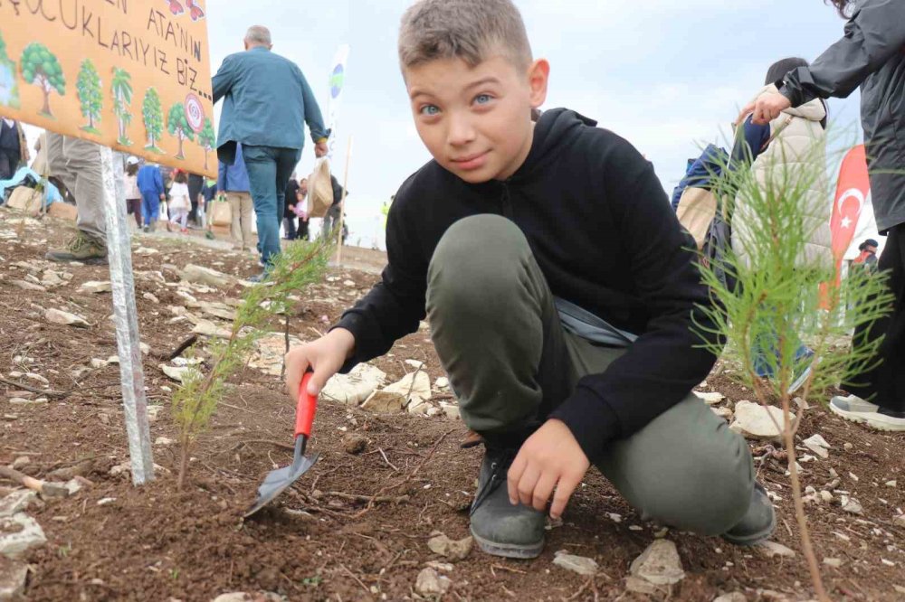 Fidanlar Yanan Ormanlık Alanda Toprakla Buluştu