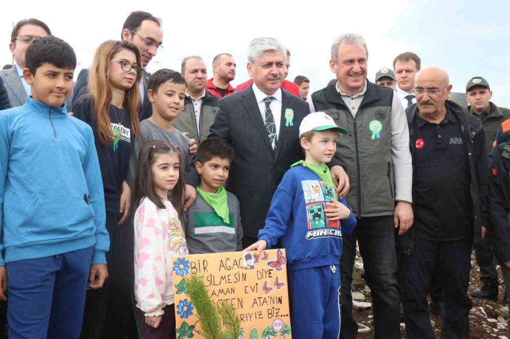 Fidanlar Yanan Ormanlık Alanda Toprakla Buluştu