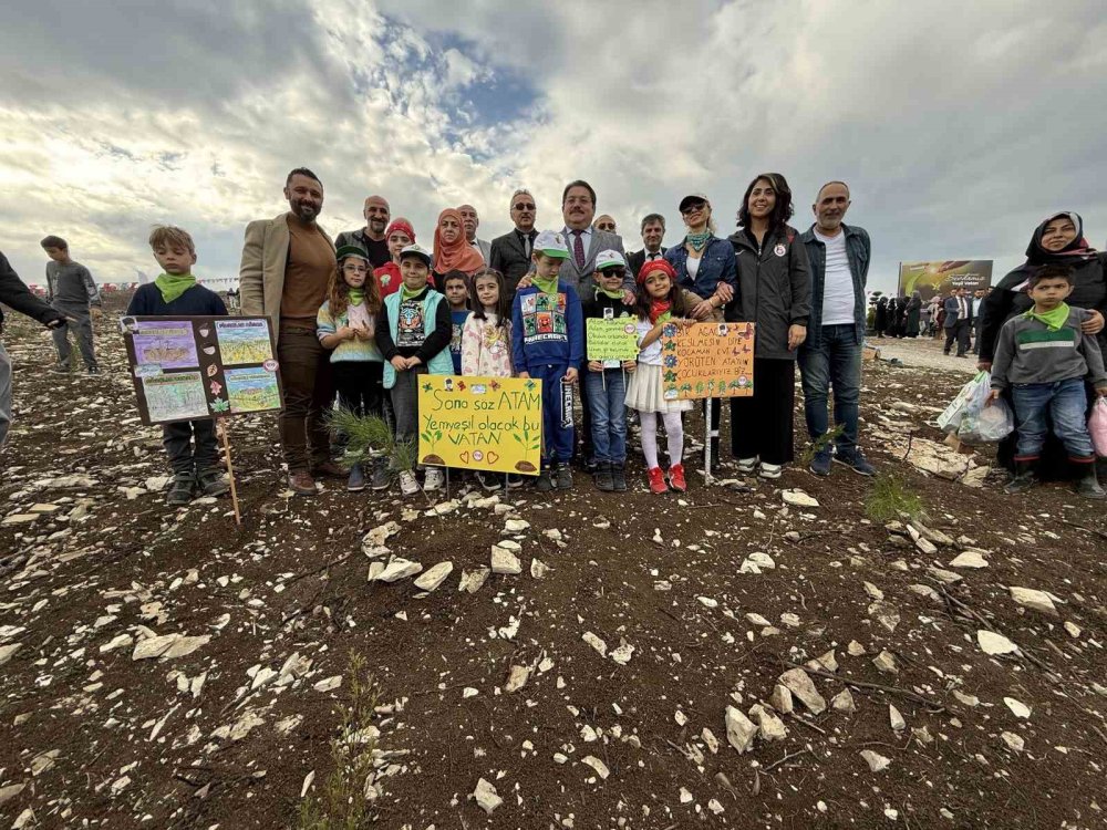 Fidanlar Yanan Ormanlık Alanda Toprakla Buluştu