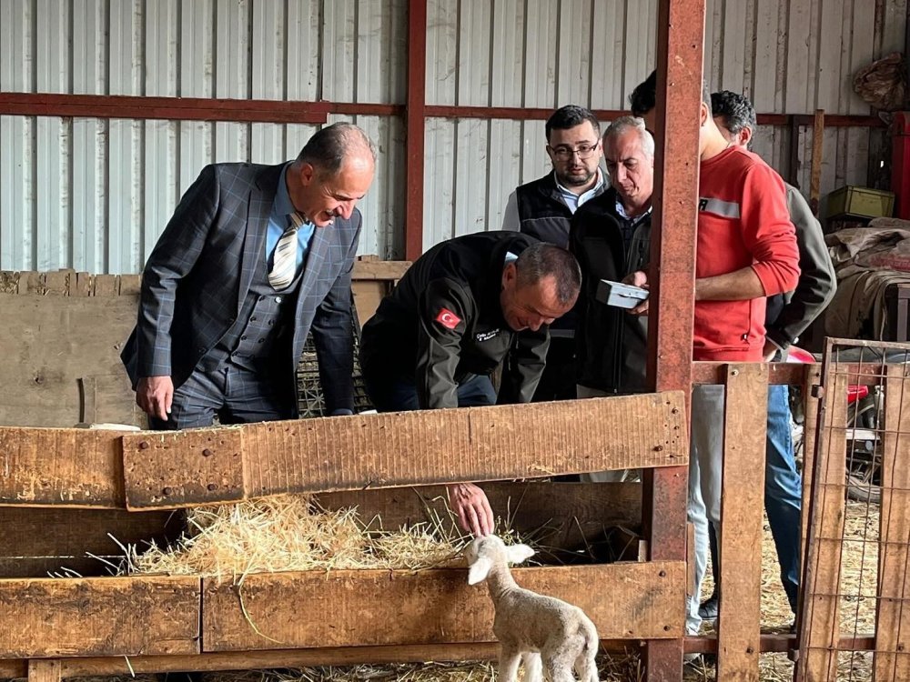 Genç Girişimciye Yüzde 100 Hibe Desteğiyle Hayvancılık Projesi
