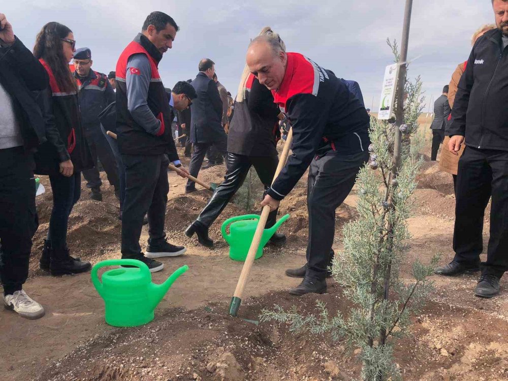 Milli Ağaçlandırma Günü’nde 20 Bin Fidan Dikildi