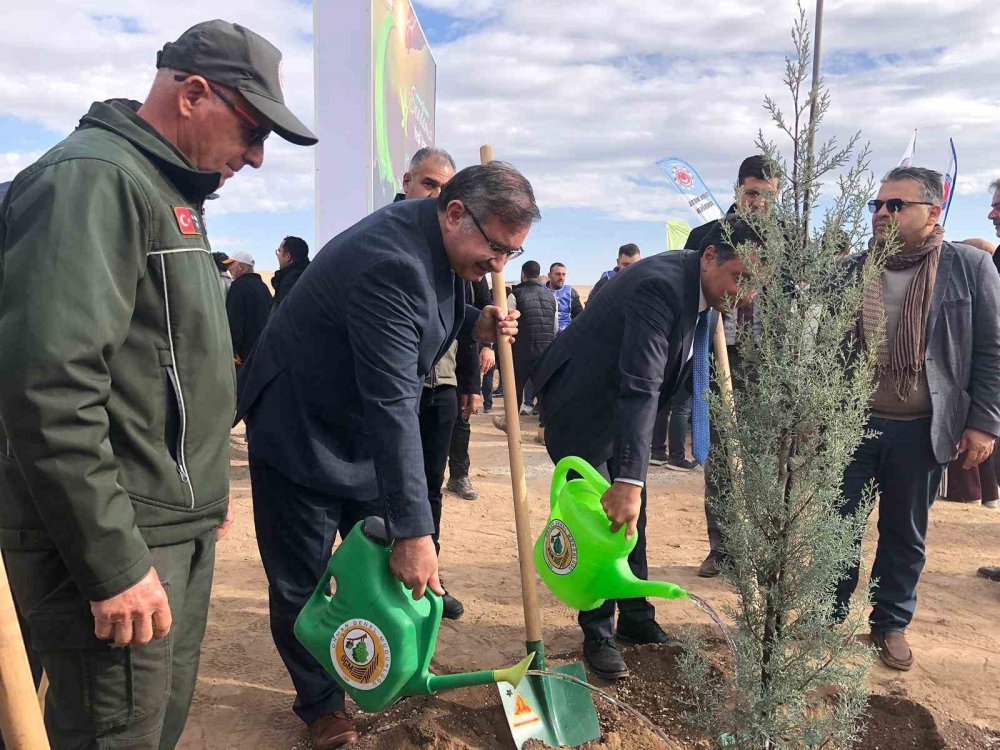 Milli Ağaçlandırma Günü’nde 20 Bin Fidan Dikildi