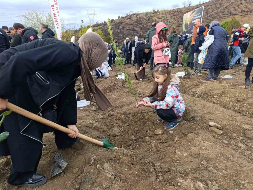 Yanan Ormanlar Milli Ağaçlandırma Günü’nde Yeniden Yeşeriyor
