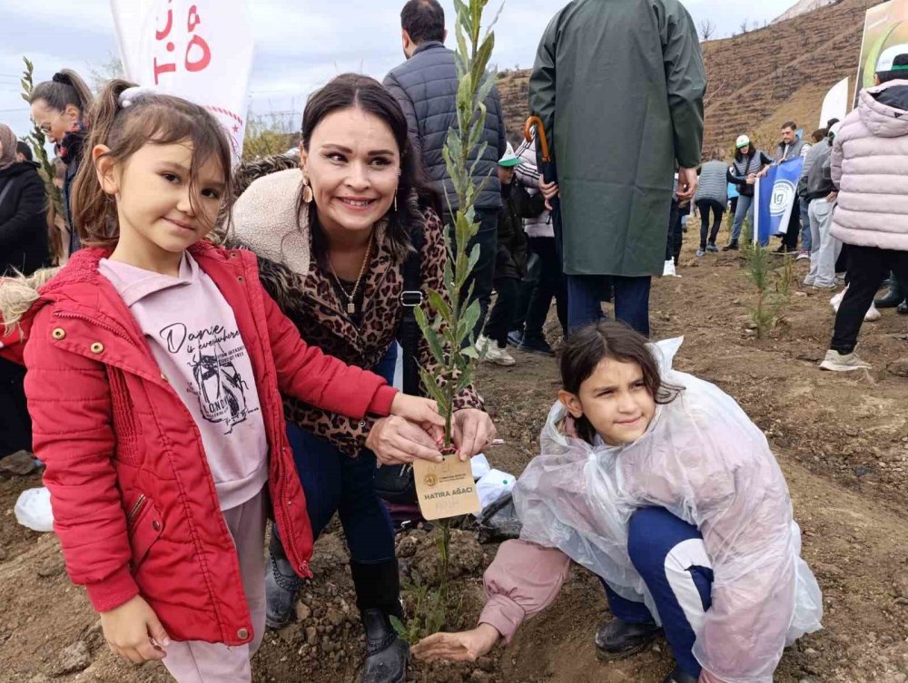 Yanan Ormanlar Milli Ağaçlandırma Günü’nde Yeniden Yeşeriyor