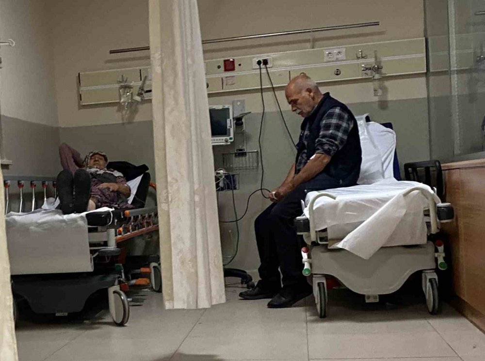 Ormandaki Mantarları Yiyen 7 Kişi Hastanelik Oldu