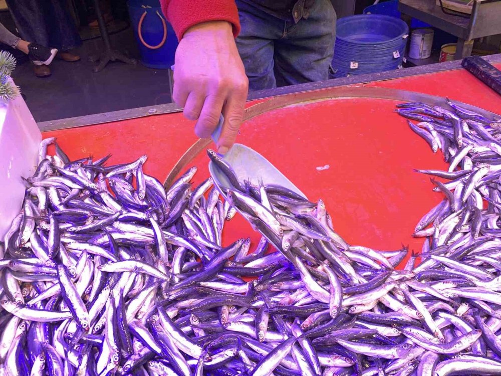 Bollaşan Hamsi Tezgahlarda 100 TL’ye Yer Buldu