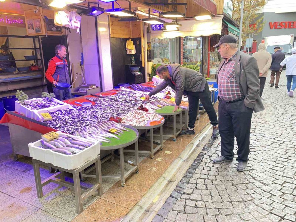 Bollaşan Hamsi Tezgahlarda 100 TL’ye Yer Buldu