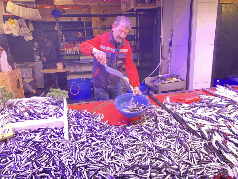 Bollaşan Hamsi Tezgahlarda 100 TL’ye Yer Buldu