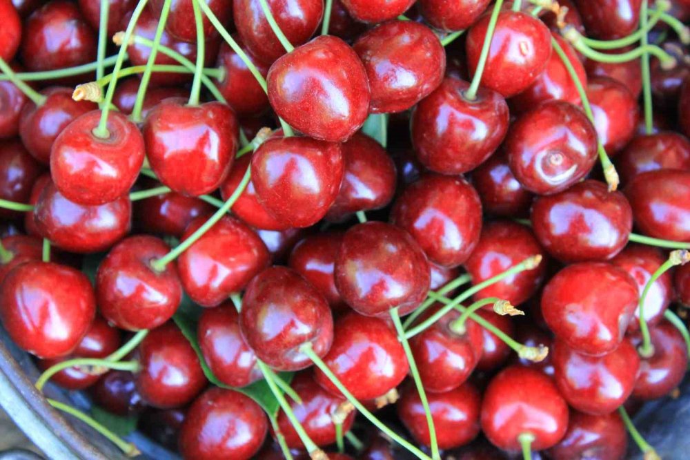 Dondurulmuş Kirazda Da Dünya Lideriyiz