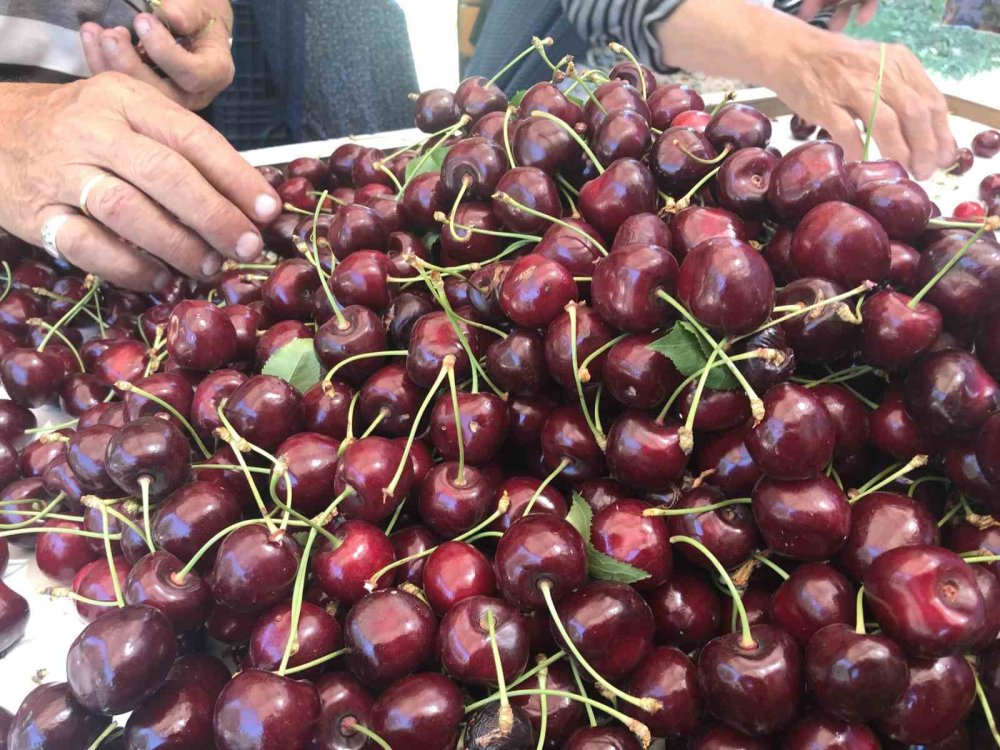 Dondurulmuş Kirazda Da Dünya Lideriyiz