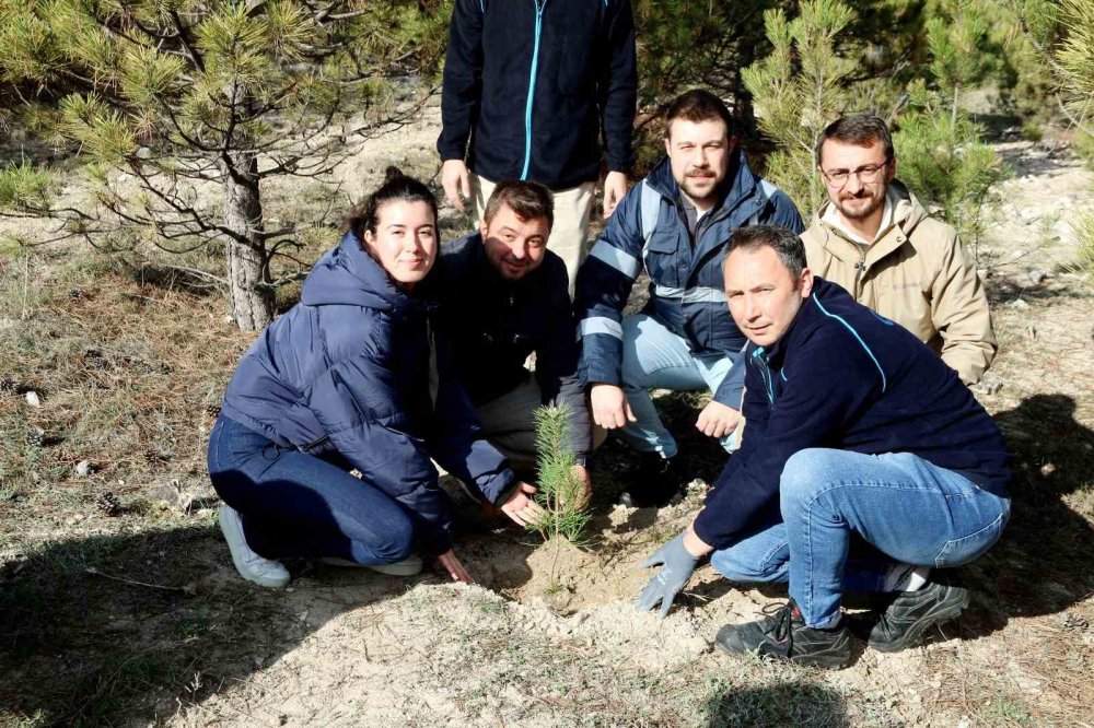Osb’nin Geleneksel Fidan Dikim Etkinliği Yoğun Katılımla Gerçekleşti