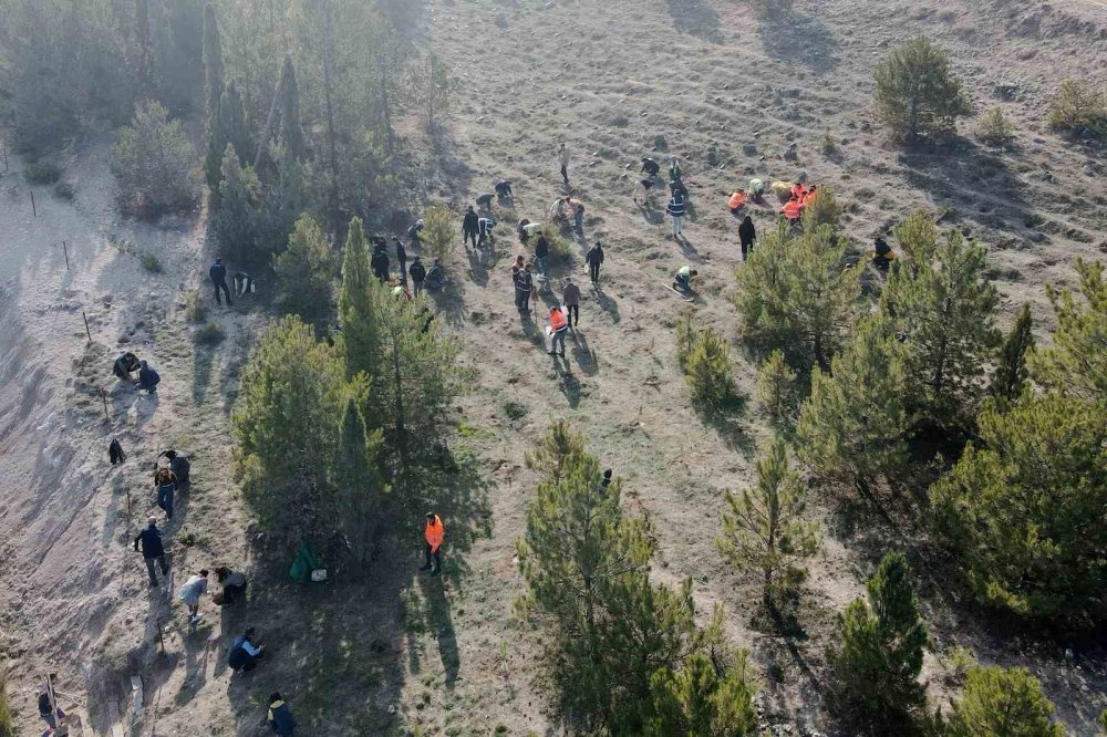 Osb’nin Geleneksel Fidan Dikim Etkinliği Yoğun Katılımla Gerçekleşti