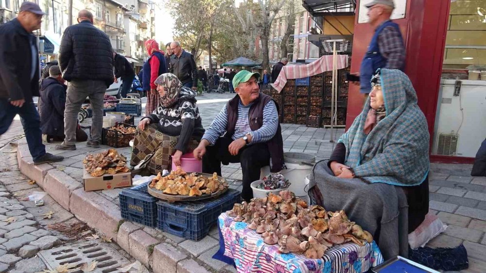Melki Mantarı Çoğaldı, Fiyatlar Düştü