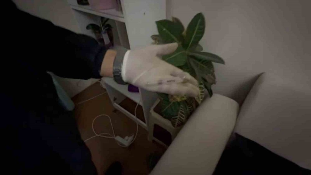 Satışa Hazır Hale Getirilen Uyuşturucuları Jandarma Yakaladı