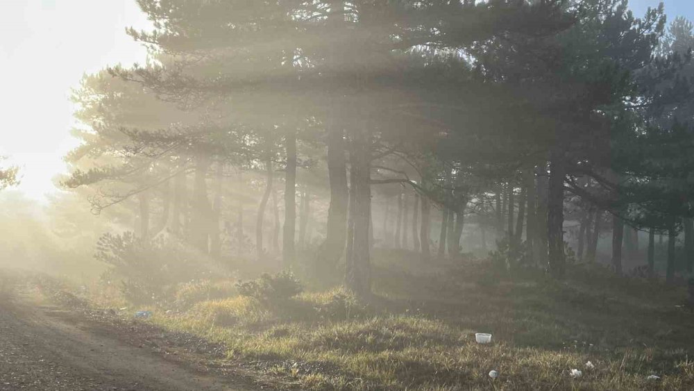 Zirvedeki Sis Manzarası Hayran Bıraktı