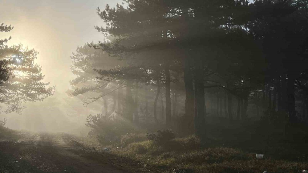 Zirvedeki Sis Manzarası Hayran Bıraktı