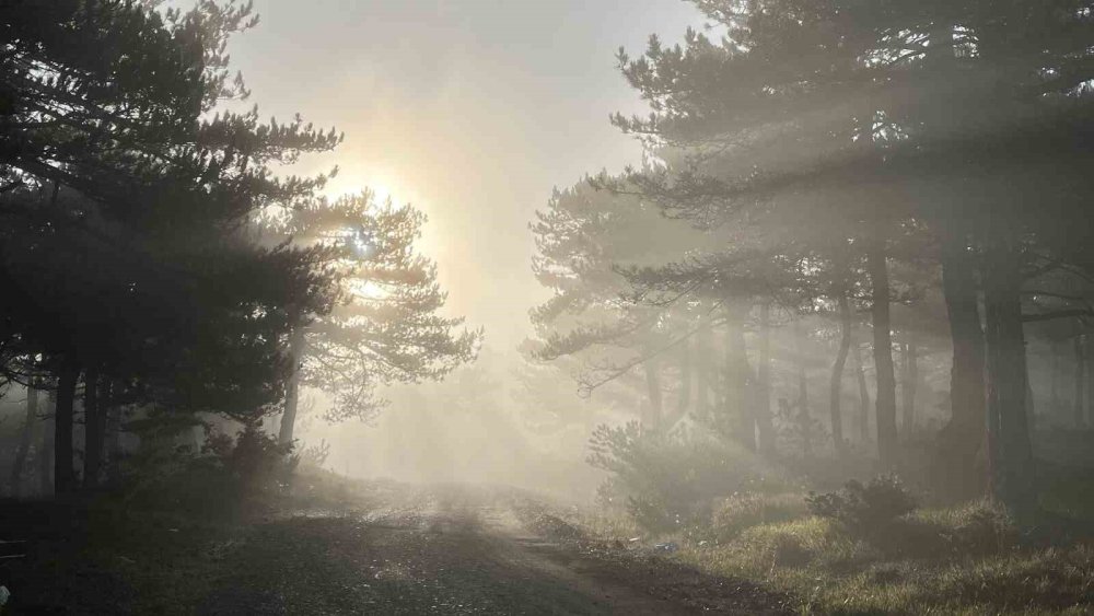 Zirvedeki Sis Manzarası Hayran Bıraktı