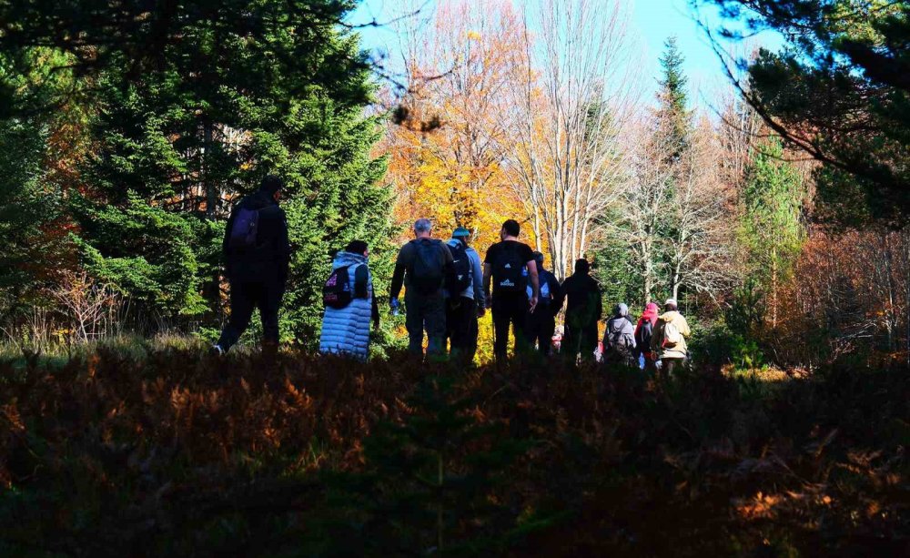 14 Kilometrelik Yürüyüş