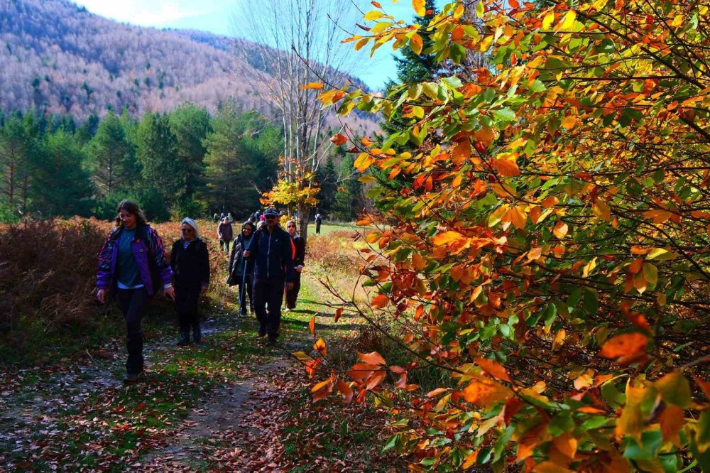 14 Kilometrelik Yürüyüş