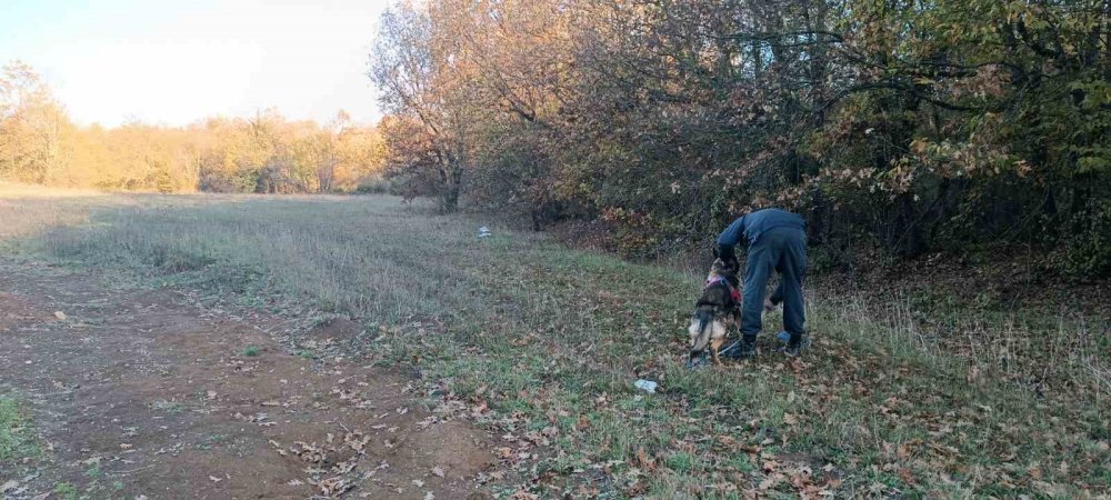 96 kişilik ekip sahada