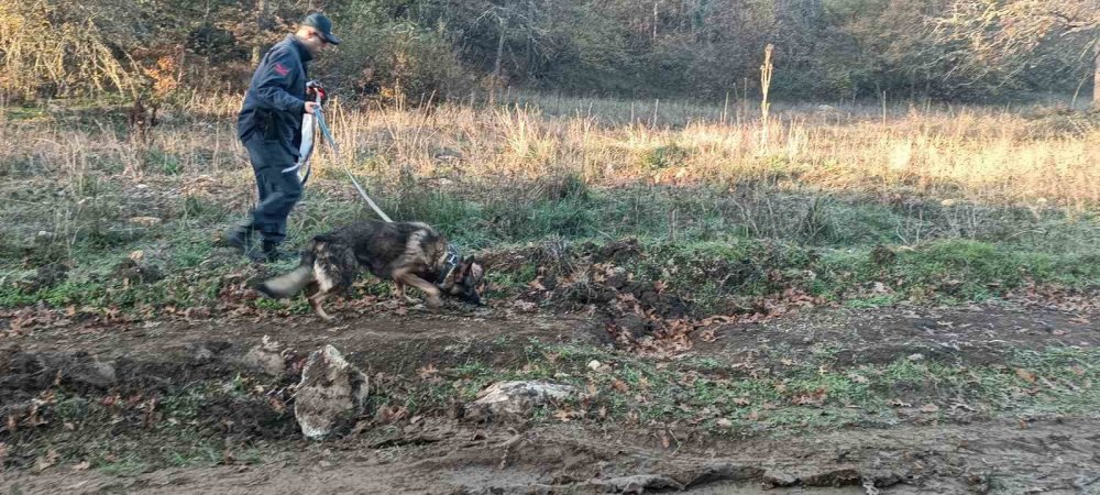 96 kişilik ekip sahada