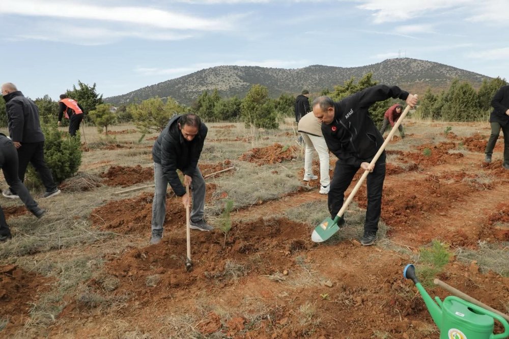 Hatıra Ormanına 2 Bin Fidan Dikildi