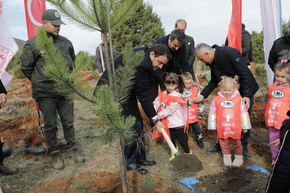 Hatıra Ormanına 2 Bin Fidan Dikildi