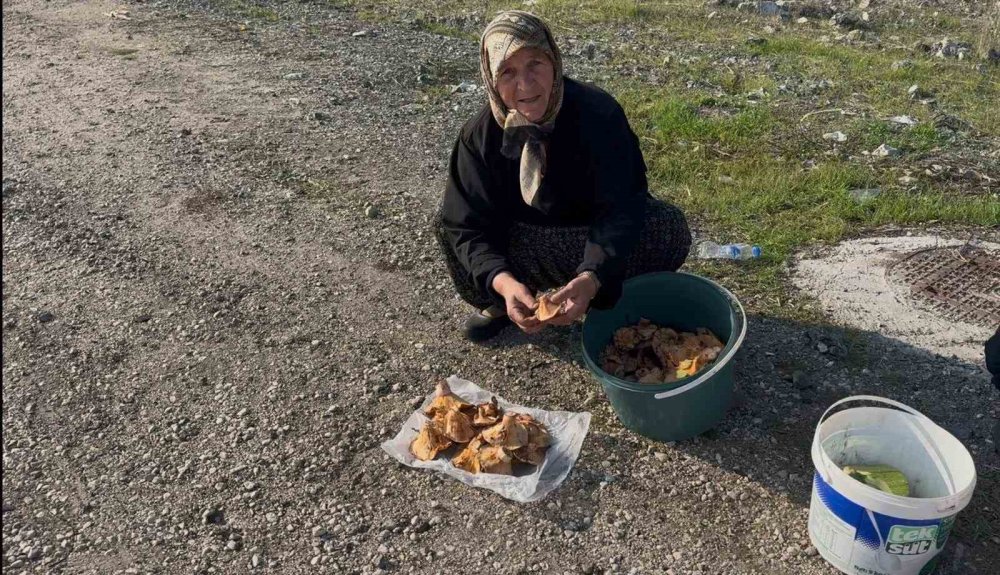 İki Yaşlı Kadın Gençlere Taş Çıkartıyor