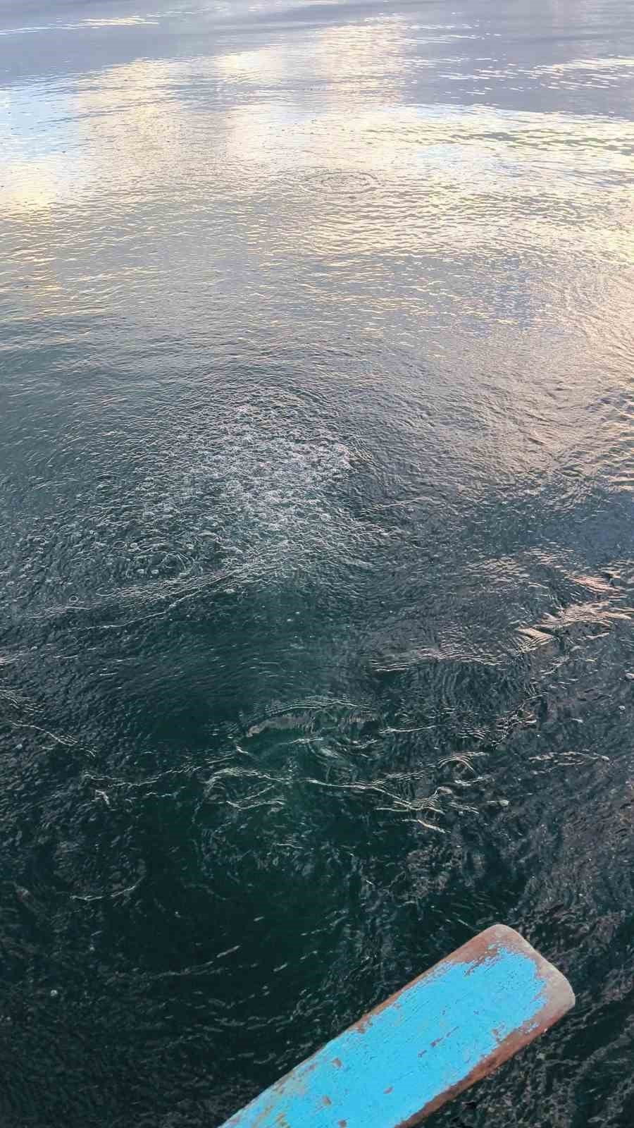 Sapanca Gölü’nde Esrarengiz Görüntü Dikkat Çekiyor