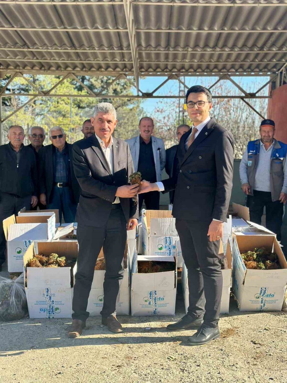 42 Bin Adet Çilek Fidesi Dağıtıldı