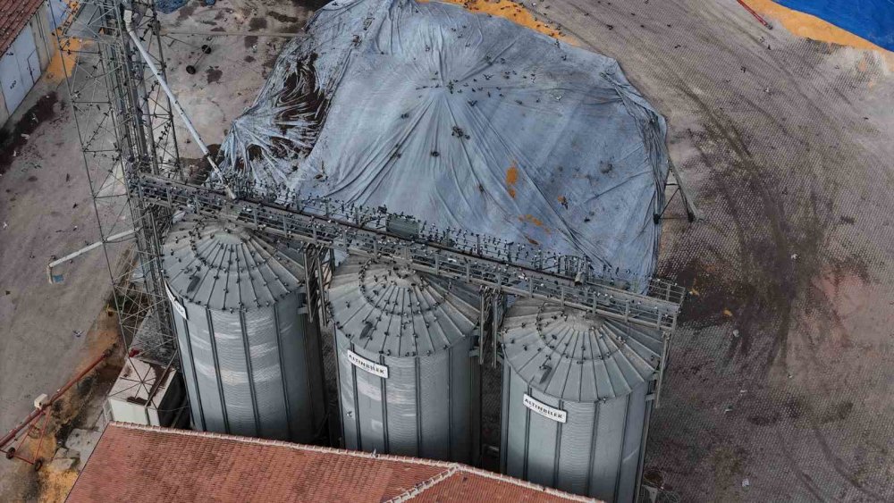 Güvercinler İçin Adeta Açık Büfe