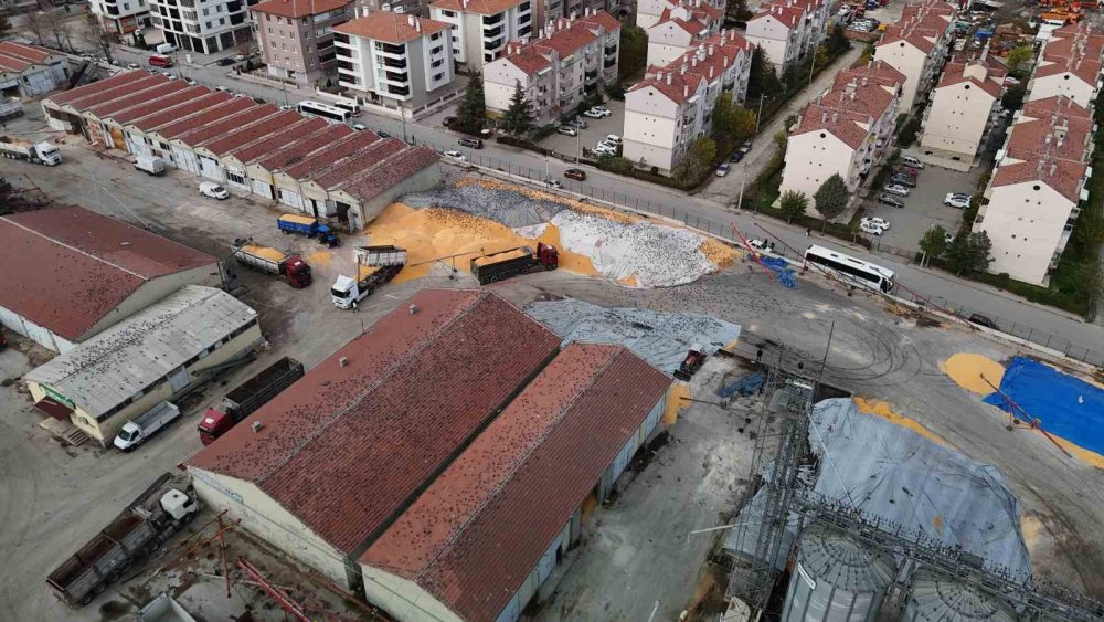 Güvercinler İçin Adeta Açık Büfe