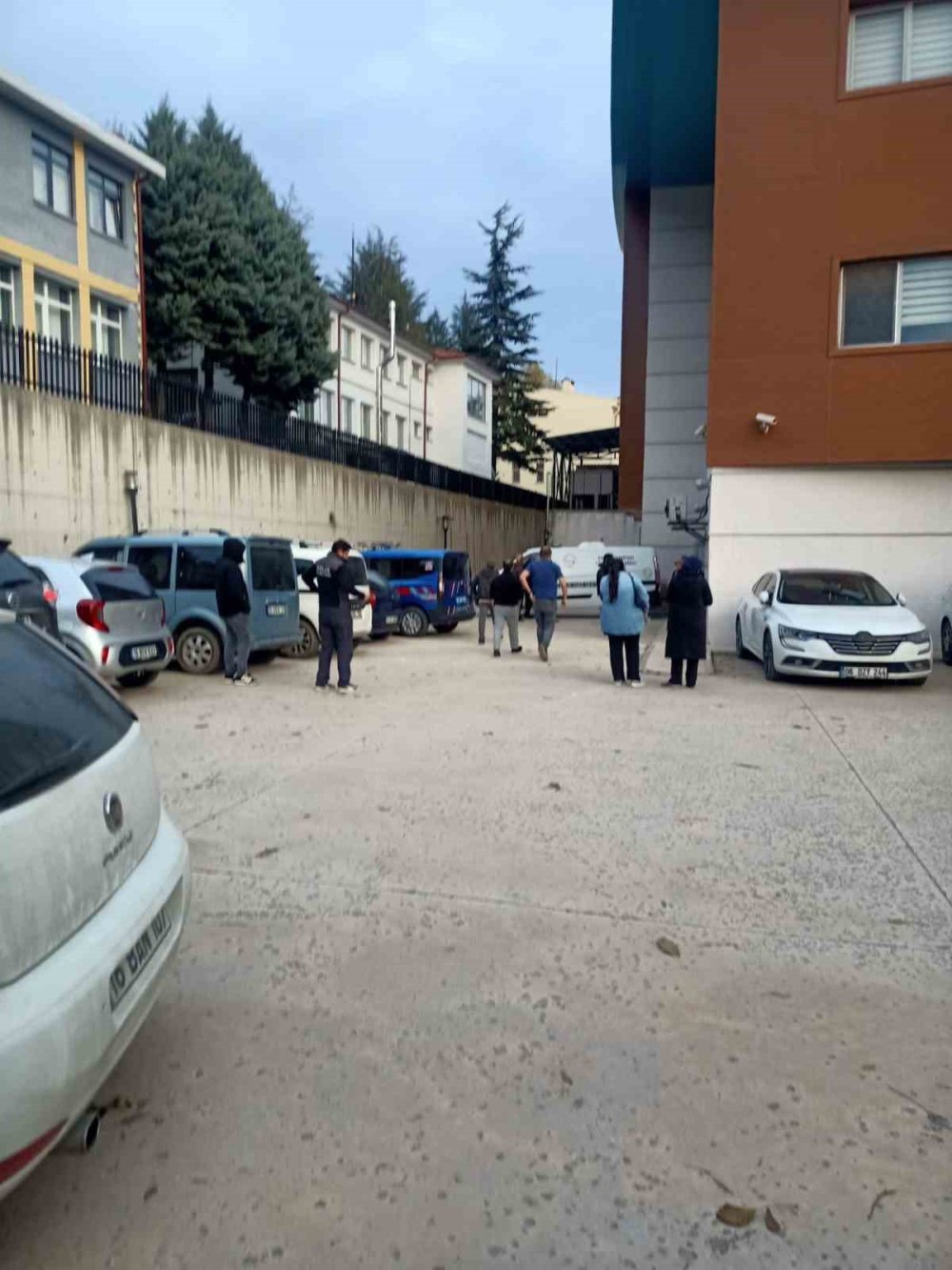 Budadığı Ağaçtan Düşen Adam Hayatını Kaybetti