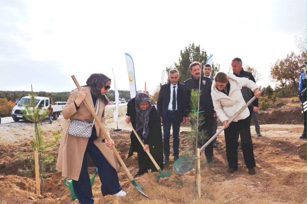 Şehitler İçin 350 Fidan Toprakla Buluştu